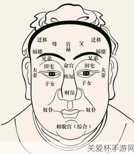 探秘山海异闻录，观天卜命天书门派，控场之王深度剖析