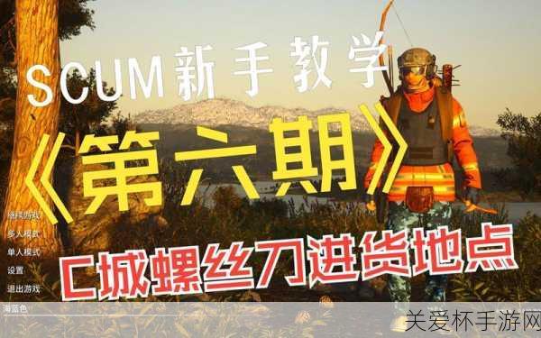 scum0.9近战武器代码汇总-scum0.9全近战武器代码分享，成为游戏王者的必备秘籍