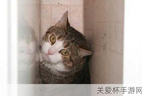 猜一猜猫咪尝不出什么味道，揭秘猫咪味觉的神秘世界