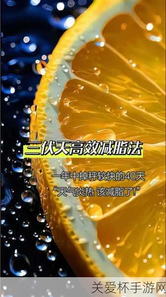 为何三伏天是最佳减肥时期，掌握这些秘诀让你轻松瘦