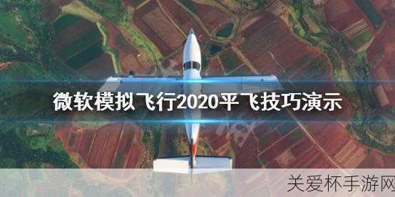 微软模拟飞行 2020 只有贴图怎么办，独家秘籍大揭秘