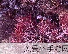 麒麟菜种在海里吗中国古代神兽麒麟菜，神秘海洋植物与古老传说的交织