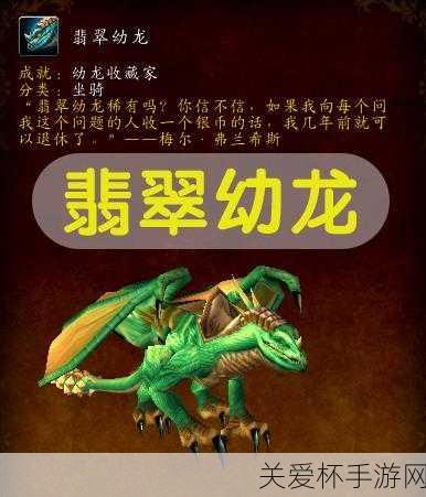 魔兽世界古达克幼龙怎么打，成为游戏高手的秘诀