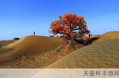 在广袤无垠的沙漠中，生命的存在往往充满了挑战和奇迹。而在 12 月 17 日的蚂蚁庄园里，有一个有趣的问题引发了大家的思考，以下哪种树在沙漠中被称为会流泪的树？这一问题将我们的目光引向了那些在极端环境中顽强生存的植物。