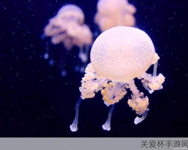 神奇海洋8月18日水母神奇海洋8月18日答案触角，探索海洋生物的神秘世界