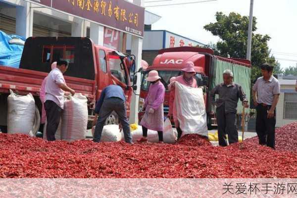 全国最大的辣椒交易市场在哪里 蚂蚁新村 6 月 16 日全国最，探秘辣椒交易市场的王者之地