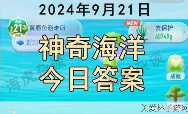 神奇海洋今日答案，小海豚一出生就会游泳吗，探索海洋生物的神奇奥秘