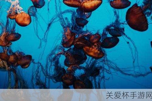 支付宝哪种海洋动物拥有10只触手，探秘海洋生物的奇妙世界