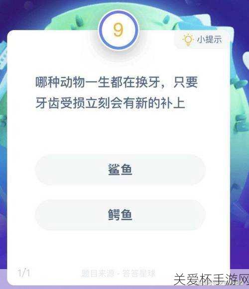 哪种动物一生都在换牙只要牙齿受损立刻会有新的补上，探索神奇的换牙生物