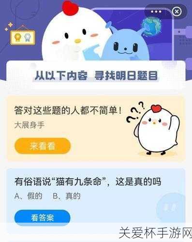 猫有九条命蚂蚁庄园，这一俗语背后的真相究竟如何