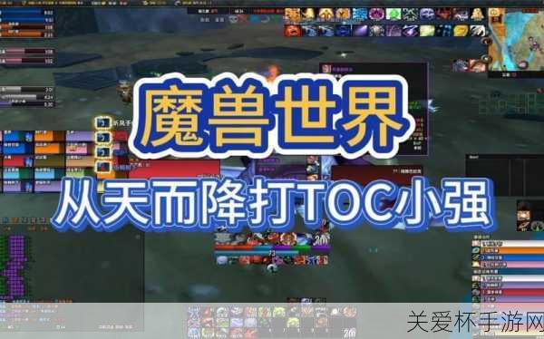 魔兽世界 TOC 阿努巴拉克技能斩杀血条提示 WA - 阿努巴拉克，游戏攻略秘籍大揭秘