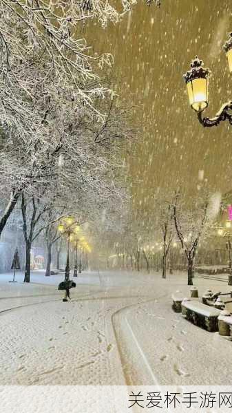 艳阳天里真的能大雪纷飞吗，一场关于自然奇观的探索