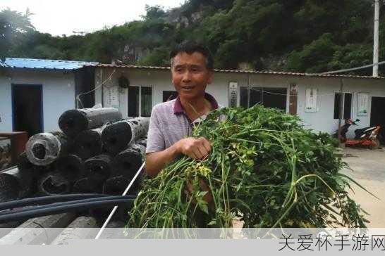 贵州平坝肖家村盛产灰鹅对吗，全网热议的特色养殖探秘