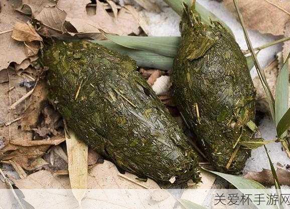 古代大熊猫叫什么 蚂蚁庄园食铁兽大虫答案 7 月 15 日，探秘古代大熊猫的神秘称呼