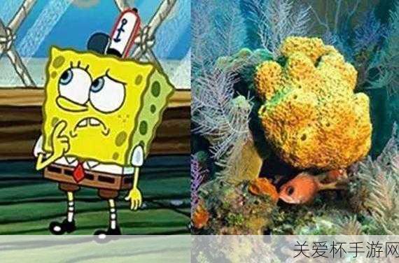 蚂蚁庄园海绵，海洋里的海绵是植物还是动物？探秘海洋神秘生物