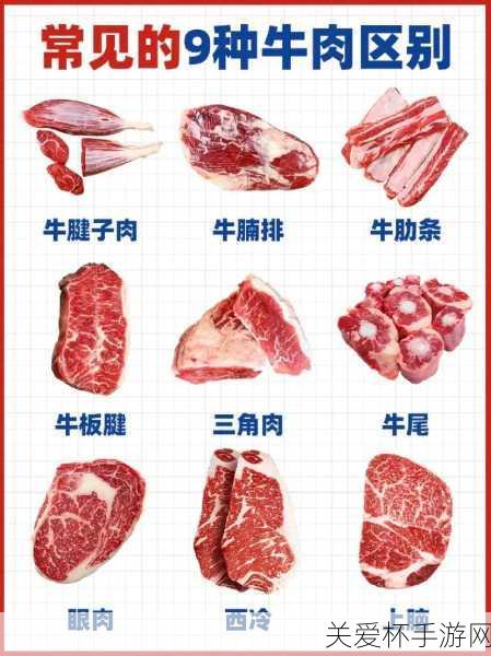 美味的肉眼牛排其实是牛什么部位的肉，全网都在问