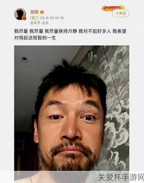 正式确诊为胡歌早 F 晚 E，娱乐圈的独特现象