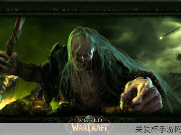 魔兽世界反和谐 wa 介绍 - 魔兽世界反和谐 wa 分享，成为游戏达人的必备秘籍