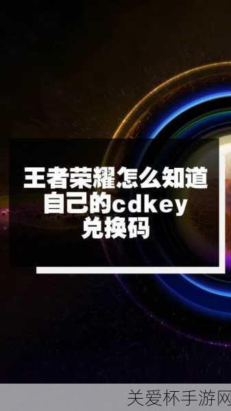 王者荣耀 cdkey 兑换入口在哪-王者荣耀 cdkey 兑换入口地址，最新攻略与技巧大揭秘