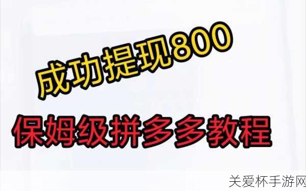 拼多多 800 元提现技巧 拼多多 800 元最后一分技巧，揭秘成功提现的终极攻略