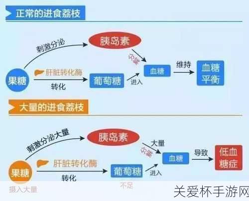 空腹吃荔枝多了可能导致低血糖这种说法，真相究竟如何