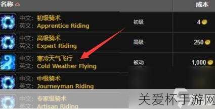 怀旧服寒冷飞行骑术在哪学-魔兽世界怀旧服寒冷飞行，探索神秘的骑术秘籍