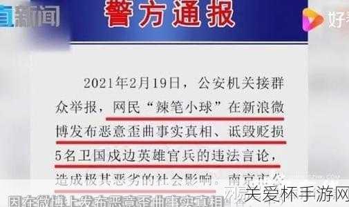 蜡笔小球被批捕是怎么回事，深度剖析其背后的原因和影响