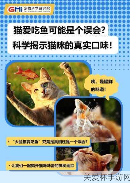 猫咪爱吃鱼它们吃鱼时也可能被鱼刺卡到吗蚂蚁庄园，猫咪吃鱼的那些事儿