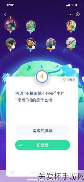 蚂蚁庄园不撞南墙不回头指的是什么墙，探索背后的深意与启示