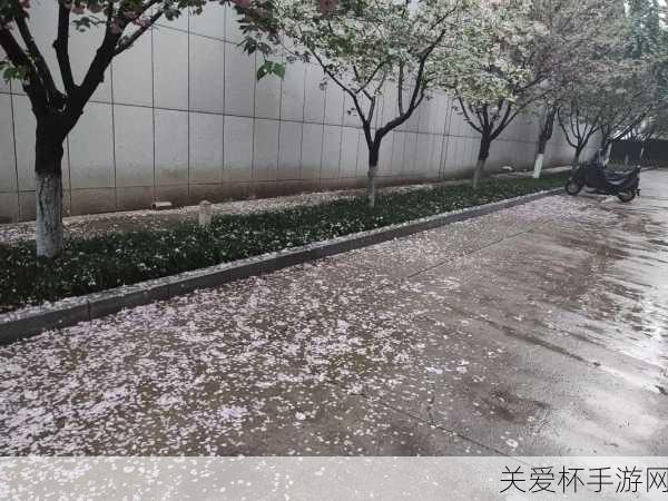 抖音当落花雨洒满天是什么歌 抖音醉千年歌曲歌词完整，热门歌曲背后的故事