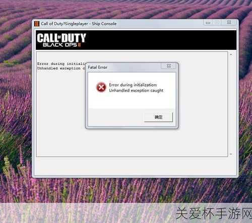 使命召唤9Errorduringinitialization解决方法，游戏玩家必备秘籍