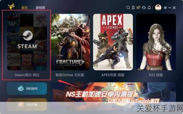 TheFinalsSteam 叫什么，探索这款热门游戏在 Steam 平台的名称之谜