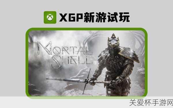 致命躯壳武器有哪些 Mortal Shell 主武器位置及特点，游戏达人必备攻略