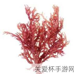 麒麟菜种在海里吗中国古代神兽麒麟菜，探秘海洋中的神秘植物与古老传说