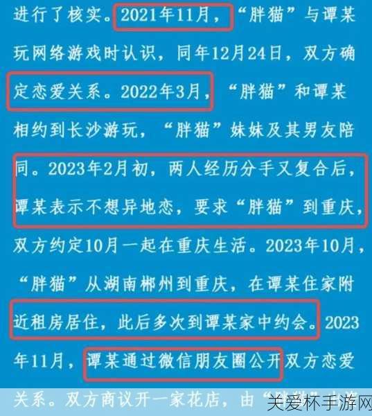 胖猫事件怎么回事 胖猫事件完整版，探寻胖猫事件背后的真相与启示