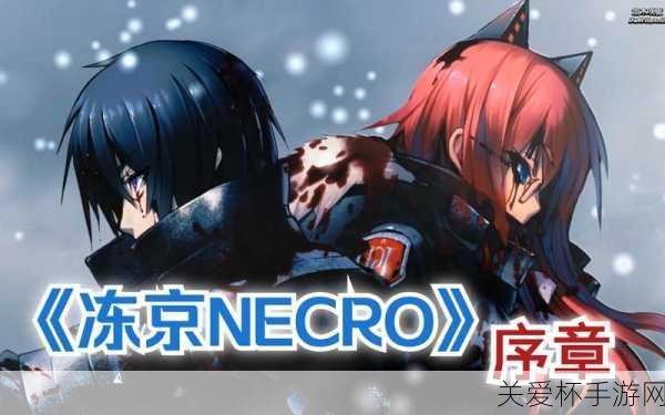 冻京Necro 基础攻略游戏简评，带你畅游神秘世界