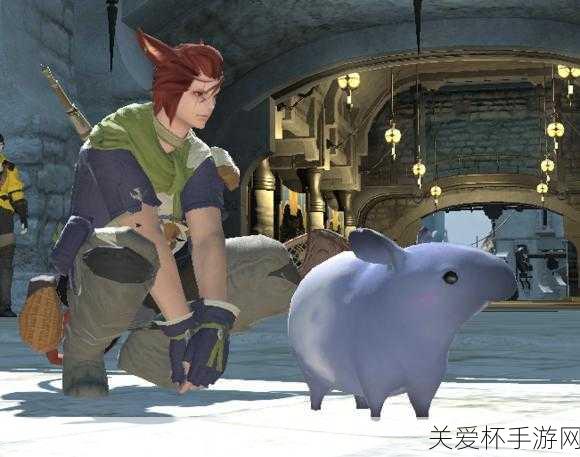 FF14 须佐之男之形宠物怎么获得，全网独家攻略